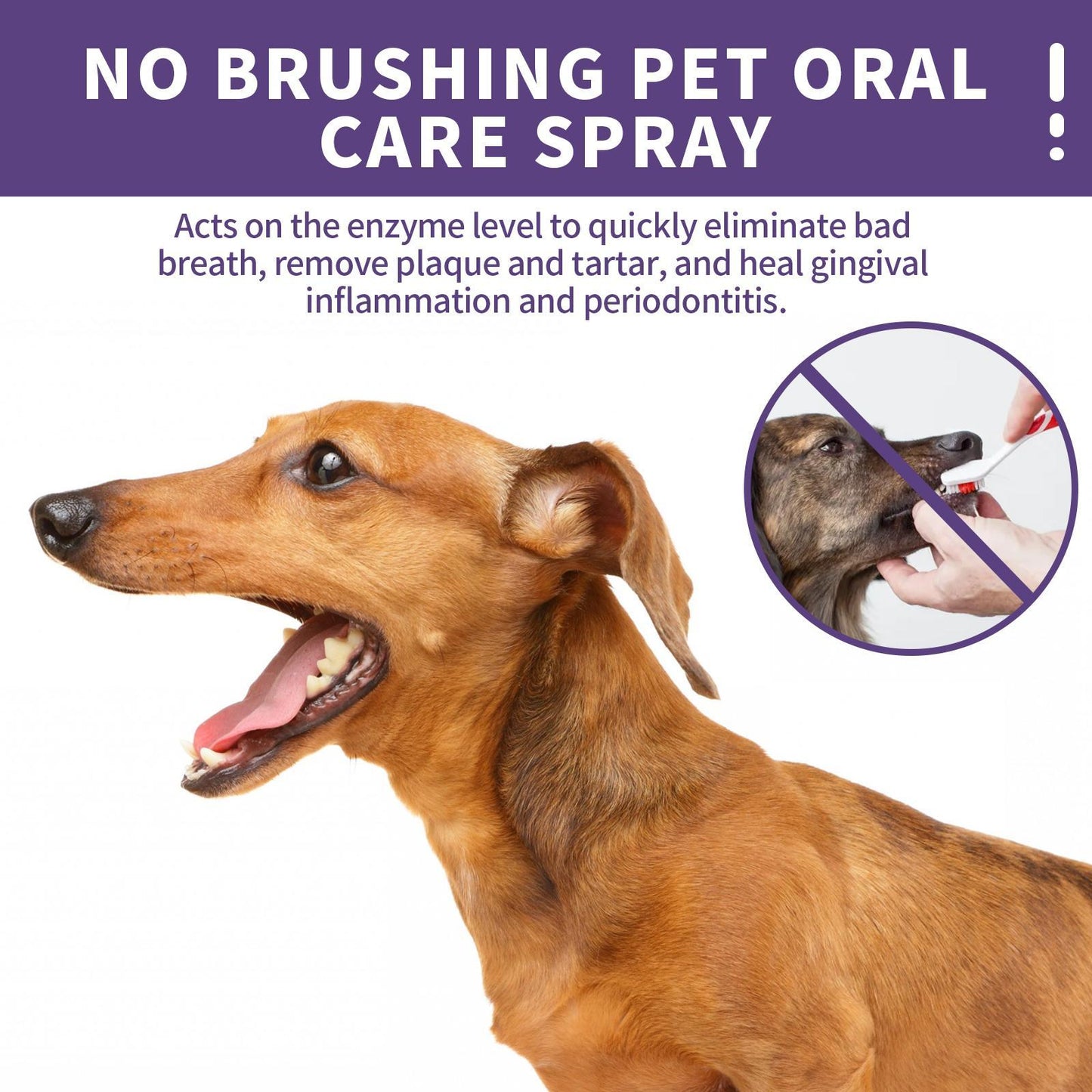 EaseLabs FreshBite™ — No-Brush Pet Oral Care Spray
